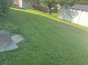 Helga G.'s Lawn Mowing service result