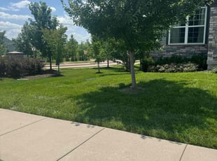 Kate K.'s Lawn Maintenance service result