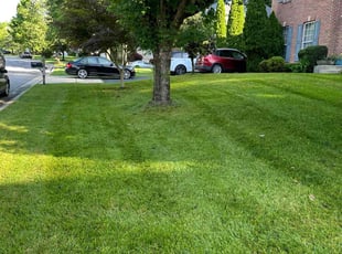 Camille A.'s Lawn Service service result