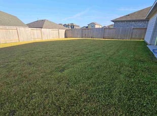 Lou W.'s Lawn Care service result