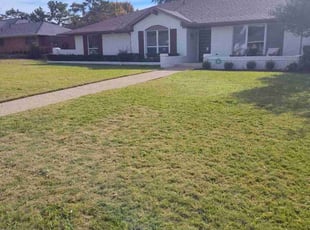 Chris P.'s Grass Cutting service result