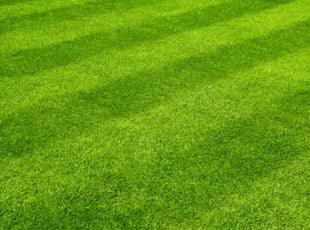 Cleanups by Michael Mansfield for Cat H. in Berkley, MI