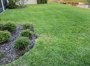 Raymond M.'s Yard Cutting service result
