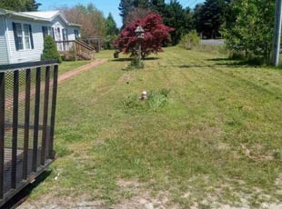 Kelly M.'s Lawn Mowing Service service result