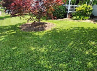 Bill P.'s Lawn Mowing service result