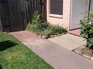 Bush Trimming by Terrence Wilburn for Patti T. in Pearland, TX