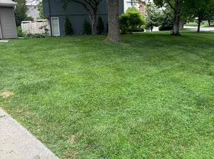 Lisa G.'s Lawn Service service result
