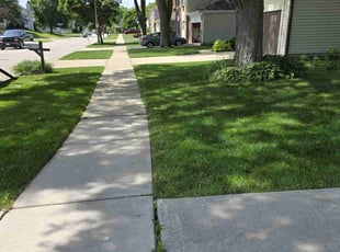 Paul H.'s Lawn Care service result