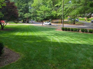 Diane L.'s Lawn Service service result