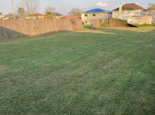 Bush Trimming by Jeremy Washington for Geoff M. in Chalmette, LA