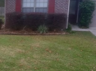 Bush Trimming by Dawn Seifert for Brandon C. in Cantonment, FL