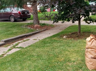 Jesse P.'s Flower Bed Weeding service result