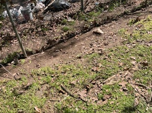 Leaf Removal by Curtis Stewart for Ahmad W. in Little Rock, AR