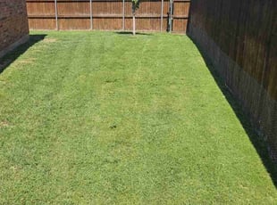 Cleanups by Ernest Howard for Kimberley P. in Frisco, TX