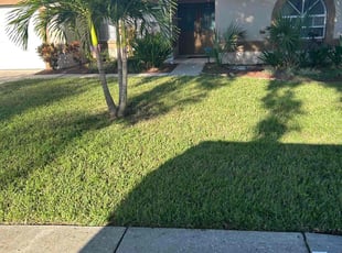 shibo Z.'s Lawn Service service result