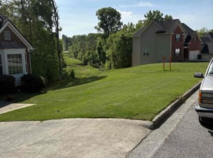 Esmie B.'s Lawn Mowing service result