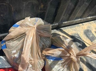 Reggie A.'s Cleanups service result