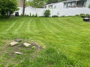 Yifei Z.'s Lawn Service service result