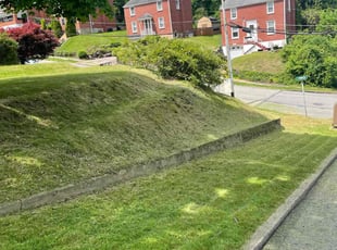 Lisa L.'s Grass Cutting service result