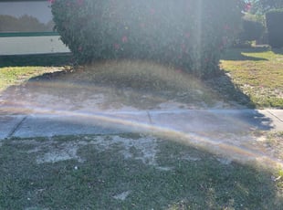 Bush Trimming by Craig S for K M. in Winter Haven, FL