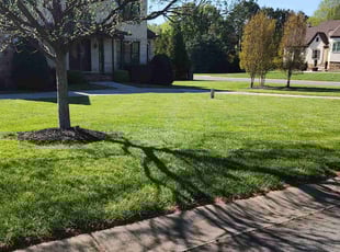 Jeanetta M.'s Lawn Care service result