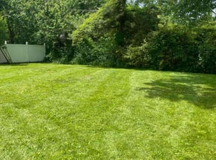 Martha M.'s Lawn Maintenance service result