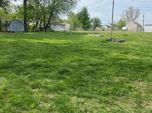 Darlene V.'s Lawn Care service result