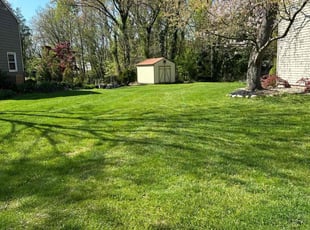 Theodore B.'s Lawn Mowing Service service result
