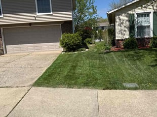 David J.'s Lawn Mowing service result