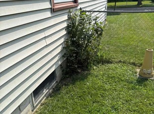 Sheryl L.'s Bush Trimming service result