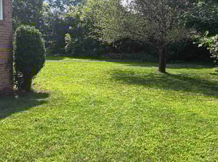 Tramaine W.'s Lawn Mowing Service service result