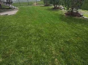 Neil B.'s Lawn Mowing Service service result