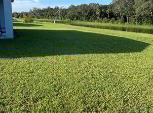 Jean W.'s Grass Cutting service result
