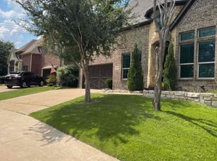 PMI P.'s Lawn Mowing service result