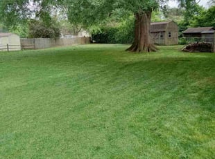 Rick D.'s Lawn Mowing service result
