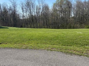 Anthony J.'s Lawn Service service result