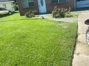 Revenda B.'s Lawn Mowing service result
