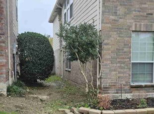 Bush Trimming by Ernest Howard for Leah K. in Little Elm, TX