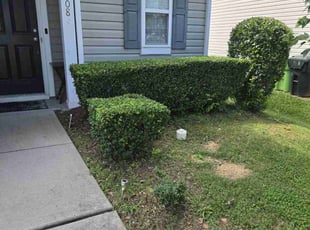 Bush Trimming by Green Juniper for Ryan P. in Raleigh, NC