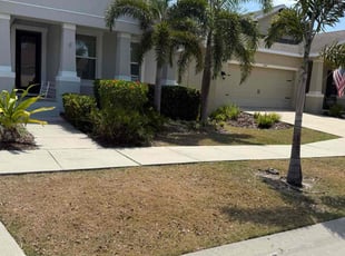 Bush Trimming by William Chavers for Bree B. in Apollo Beach, FL