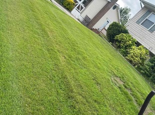 Robin A.'s Lawn Care service result