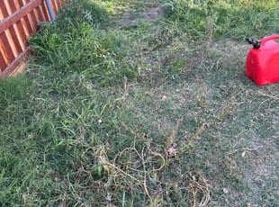 Mulching by Josh P for Joe D. in Los Angeles, CA