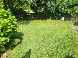 Jacob S.'s Lawn Mowing Service service result