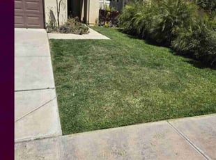 Mary P.'s Lawn Maintenance service result