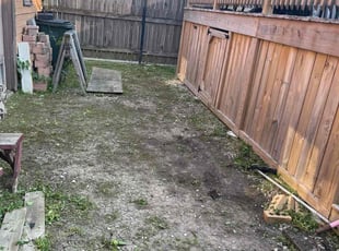 Ryan C.'s Cleanups service result