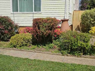 Bush Trimming by Terrence Hawkins for Lillian A. in Arlington, VA