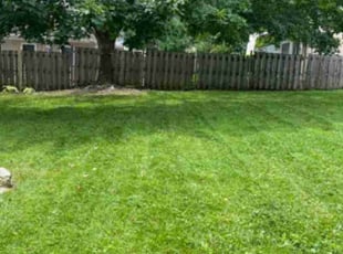 Ida H.'s Grass Cutting service result