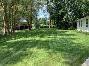 Ajaang D.'s Lawn Mowing Service service result
