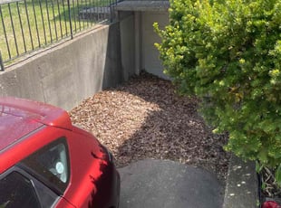 Leaf Removal by Sedrick Wesley for Erika S. in Kansas City, MO