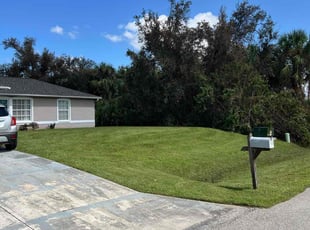 Judith V.'s Lawn Mowing service result